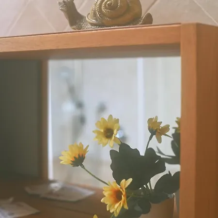 Le Dimore Di Mazzini Trieste