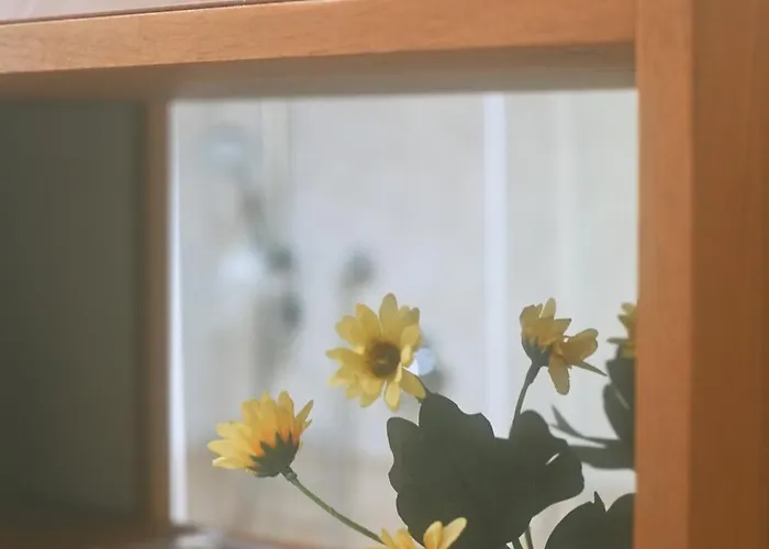 Le Dimore Di Mazzini Τεργέστη